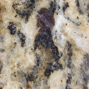 Meet your Posher, Tu